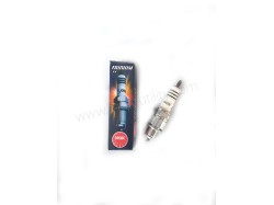 RX100 Iridium Spark Plug