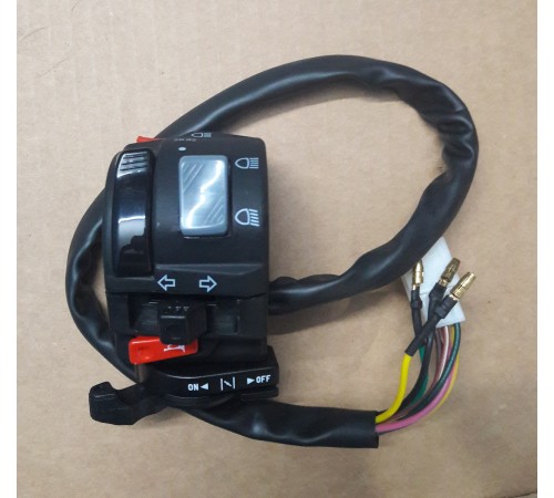 RX100 Handle switch with flash button