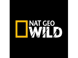 NAT Geo Wild National Geographic Car Stickers Exterior Decorative Sporty Vinyl Decal Sticker